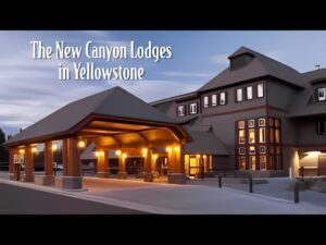 Where to Stay in Yellowstone National Park: Top Lodging Options for Every Traveler