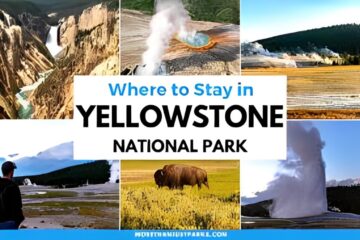 Where to Stay in Yellowstone National Park: Top Lodging Options for Every Traveler