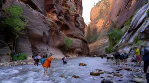 Where to Stay in Zion National Park: Top Accommodations for Every Traveler