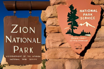 Where to Stay in Zion National Park: Top Accommodations for Every Traveler