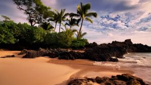 Explore Maui: What to Do – The Ultimate Guide to an Unforgettable Island Adventure