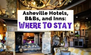 Where to Stay in Asheville, NC: Top Places for Solo and Family Travelers