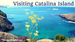 Where to Stay in Catalina Island: A Guide to the Perfect Getaway