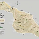 Where to Stay in Catalina Island: A Guide to the Perfect Getaway