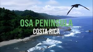 Where to Stay in Costa Rica: A Guide to the Best Regions and Accommodations